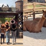 Pony Park Klaten: Destinasi Liburan Keluarga yang Sedang Hits, Ini Keunggulannya!