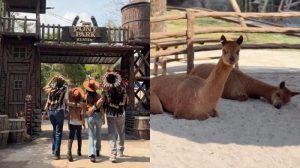 Pony Park Klaten: Destinasi Liburan Keluarga yang Sedang Hits, Ini Keunggulannya!