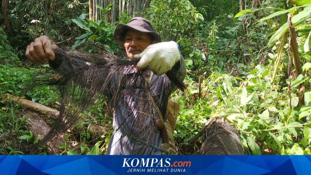 Prabowo Usul Atap Ijuk, Ahli Ingatkan Pentingnya Kajian dan Risiko Kebakaran