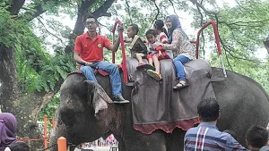 Praktik Korupsi dalam Pengadaan Satwa di Kebun Binatang Surabaya
