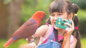 Promo Tiket Jakarta Bird Land Rp 33.000: Cara Pesan dan Link Resmi