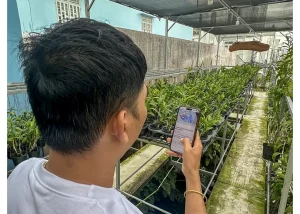 Sistem Peringatan Dini: Tameng Pelindung Mata Pencaharian dari Bencana Alam