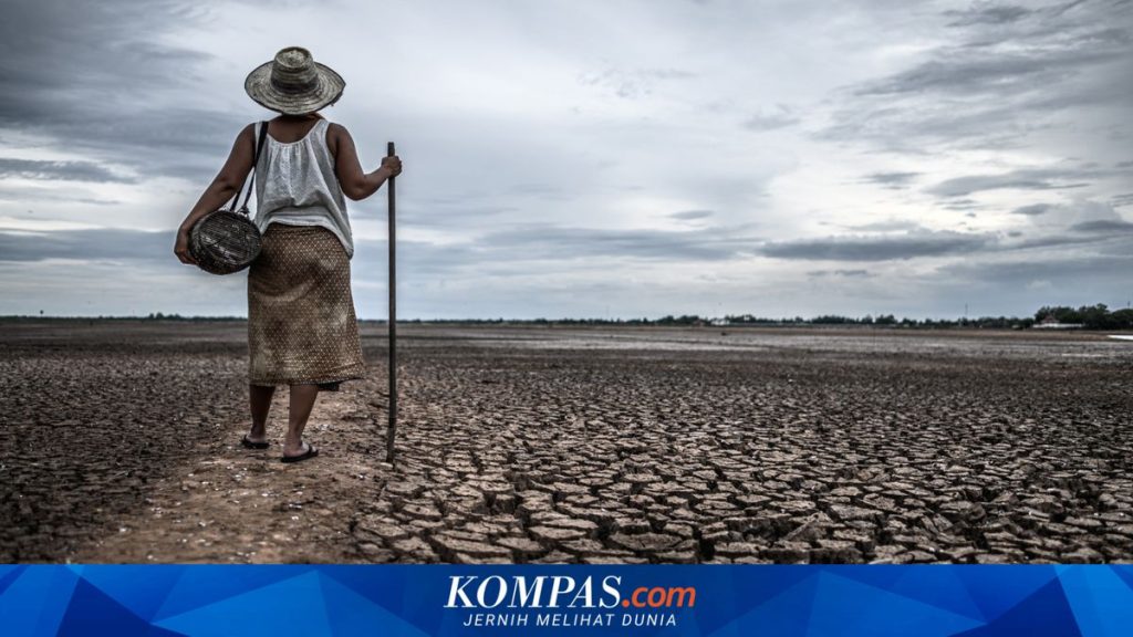 Strategi Pemerintah Menghadapi El Nino yang Tiba Lebih Awal