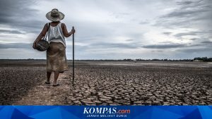 Strategi Pemerintah Menghadapi El Nino yang Tiba Lebih Awal