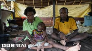 Tantangan Kesehatan di Mamberamo Raya: Dapur MBG Tak Hadir di Wilayah dengan Stunting Tertinggi