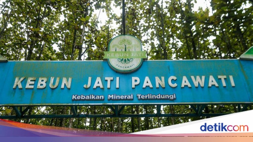 Temukan Ketenangan di Kebun Jati Cantik Bogor, Tempat Healing Ideal