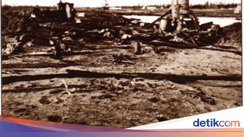 Tragedi Kebakaran Hutan Dahsyat: 2.400 Jiwa Melayang dalam 3 Hari