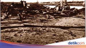 Tragedi Kebakaran Hutan Dahsyat: 2.400 Jiwa Melayang dalam 3 Hari