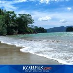 Trenggalek Gali Potensi Wisata Selam di Pesona Pantai Mutiara