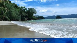 Trenggalek Gali Potensi Wisata Selam di Pesona Pantai Mutiara