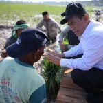 Upaya Pemerintah Aceh Percepat Pemulihan Sawah Terdampak Bencana Hidrometeorologi