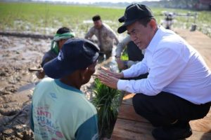 Upaya Pemerintah Aceh Percepat Pemulihan Sawah Terdampak Bencana Hidrometeorologi
