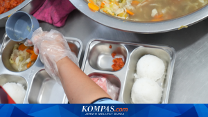 Usulan Anggota DPR: Fokus Ulang MBG untuk Balita hingga SMP, Evaluasi Program untuk Siswa SMA