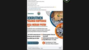 Waspada! Hoaks Seputar Kopdes Makin Marak, Ini Daftarnya