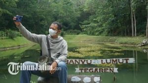 Wisata Banyu Lumut Trenggalek: Pesona Alam yang Bikin Hati Tenang