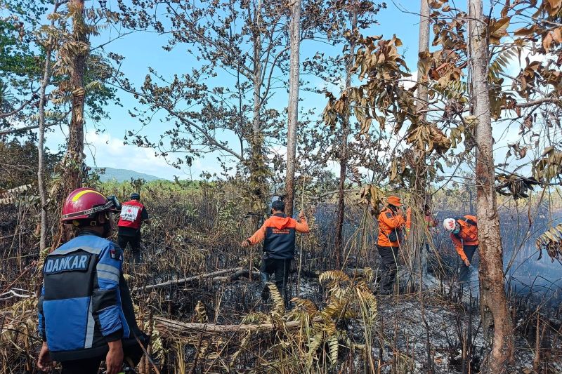 72,4 Hektare Lahan Terbakar di Banggai Kepulauan, BPBD Laporkan Karhutla