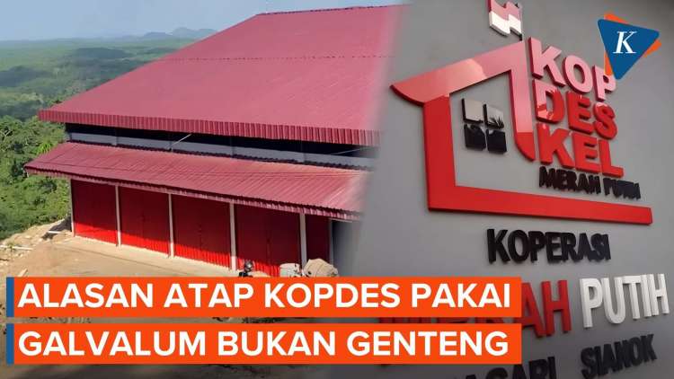 Alasan Atap Koperasi Merah Putih Menggunakan Galvalum, Bukan Genteng