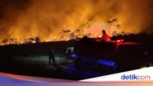 Anggota DPR Desak Evaluasi Status Darurat Karhutla Kalimantan