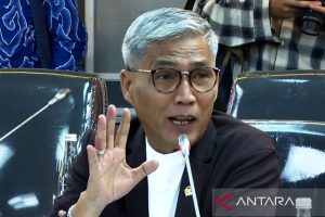 Anggota DPR Desak Imigrasi Evaluasi Menyeluruh Pengawasan WNA di Bali