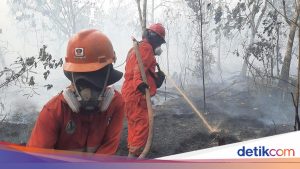 Anggota DPR Desak Status Karhutla Kalimantan Dinaikkan Menjadi Bencana Nasional