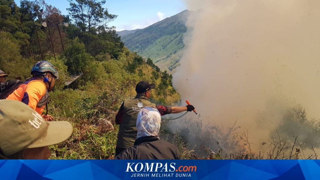 Anggota DPR Pertanyakan Kesiapan Pemerintah Tangani Karhutla di Gunung Bromo