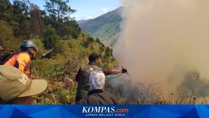 Anggota DPR Pertanyakan Kesiapan Pemerintah Tangani Karhutla di Gunung Bromo