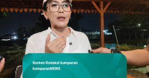 Anggota DPR Pertanyakan Status Pilot yang Didakwa Selundupkan Buronan: WNI Asli Sunda, Bukan WNA