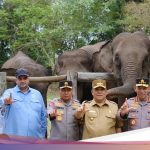 Anggota DPR RI Rajiv Dorong Pemerintah Sediakan Vaksin untuk Anak Gajah