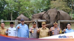 Anggota DPR RI Rajiv Dorong Pemerintah Sediakan Vaksin untuk Anak Gajah