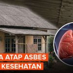Atap Asbes Berbahaya? Kenali Risiko Kesehatan Sebelum Terlambat