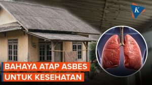 Atap Asbes Berbahaya? Kenali Risiko Kesehatan Sebelum Terlambat