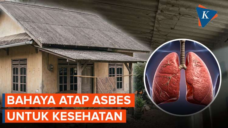 Atap Asbes Berbahaya? Kenali Risiko Kesehatan Sebelum Terlambat