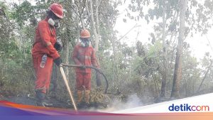 Atasi Kebakaran Hutan di Kalimantan, Pemerintah Lakukan Modifikasi Cuaca dan Tambah Armada Pesawat