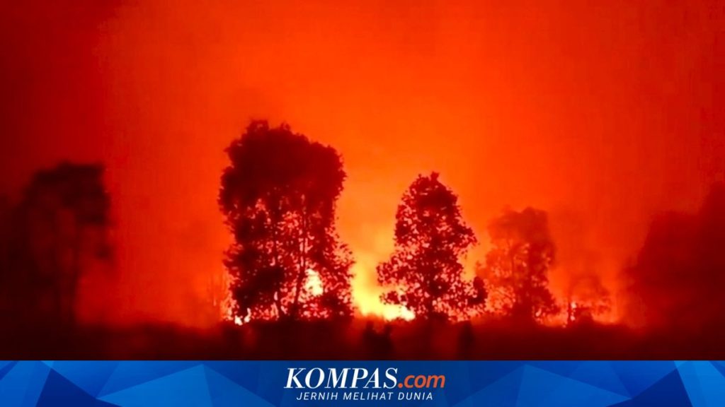 Bareskrim Selidiki Aliran Dana 72 Tersangka Kasus Karhutla