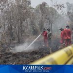 Bencana Karhutla 2026: Gagalnya Mitigasi dan Ketimpangan Penegakan Hukum
