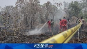 Bencana Karhutla 2026: Gagalnya Mitigasi dan Ketimpangan Penegakan Hukum