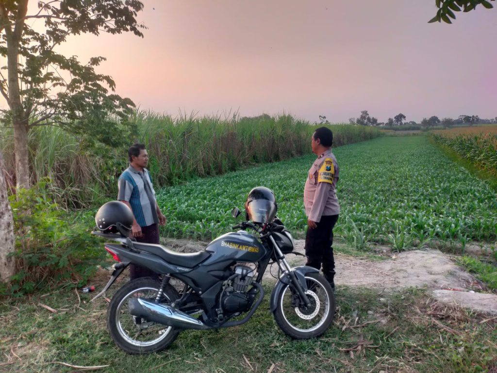 Bhabinkamtibmas Sosialisasikan Program Ketahanan Pangan untuk Petani Jagung Guna Mendukung Asta Cita Pemerintah