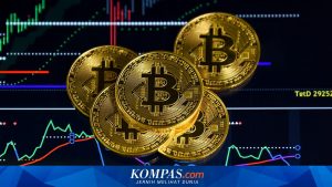 Bitcoin Tembus Level Tertinggi dalam Enam Bulan Terakhir