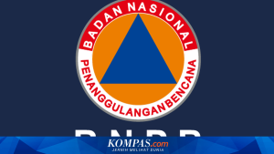 BNPB Siap Implementasikan Putusan MK tentang Status Bencana Nasional