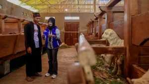 BRI Raih Penghargaan Utama IDX Channel ESG 2026 Berkat Penerbitan Social Bond untuk Keuangan Inklusif