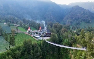 Bromo Ditutup Sementara? Ini 2 Alternatif Wisata Hits di Probolinggo
