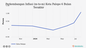 Bulan Juli, Belanja Hiburan dan Budaya Warga Palopo Meningkat 1,09%
