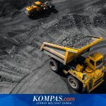 BUMA International (DOID) Optimalkan Profitabilitas, EBITDA Melonjak ke 69 Juta Dolar AS