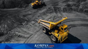 BUMA International (DOID) Optimalkan Profitabilitas, EBITDA Melonjak ke 69 Juta Dolar AS