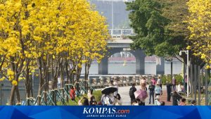 China Terapkan Aturan Baru untuk Perjalanan Masuk dan Keluar Mulai September, Wajib Diketahui Wisatawan