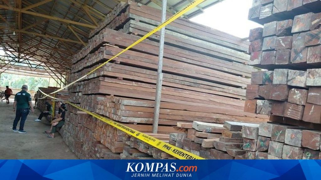 Cukong Kayu Ulin Ilegal Gunakan Dokumen Palsu, 140 Kubik Kayu Disita dan Proses Hukum Digulirkan