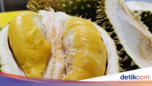 Deretan Makanan Paling Beraroma Tajam di Dunia: Petai hingga Durian Masuk Daftar