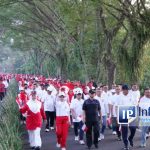 Dinkes P2KB Gorontalo Ungkap Manfaat Aktivitas Fisik dalam Menekan Risiko Penyakit