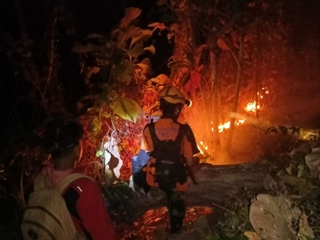 Dominasi Karhutla: BNPB Laporkan 34 Bencana dalam Sehari