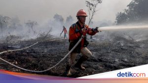 DPR Dorong Partisipasi Masyarakat dalam Penanggulangan Kebakaran Hutan dan Lahan